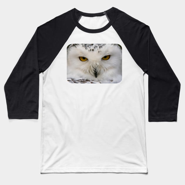 Snowy Owl Baseball T-Shirt by ElviraDraat